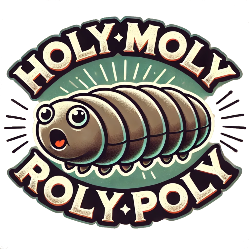 hmrpoly.com